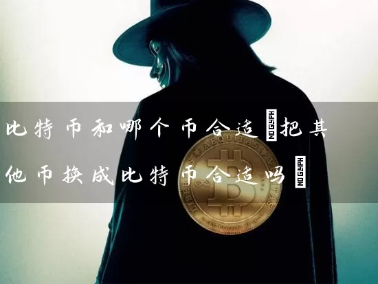 比特币和哪个币合适(把其他币换成比特币合适吗)