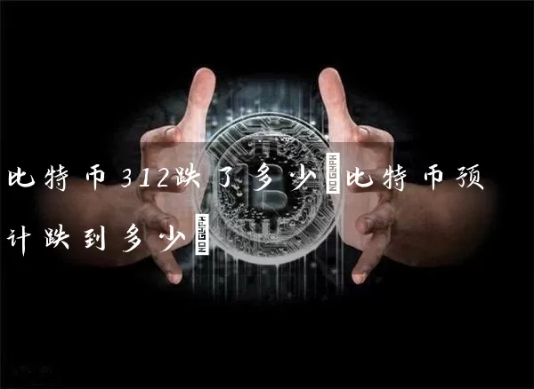 比特币312跌了多少(比特币预计跌到多少)
