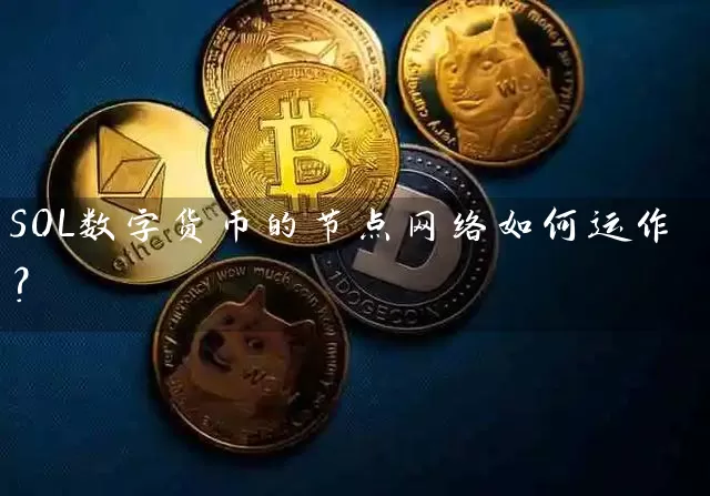 SOL数字货币的节点网络如何运作？