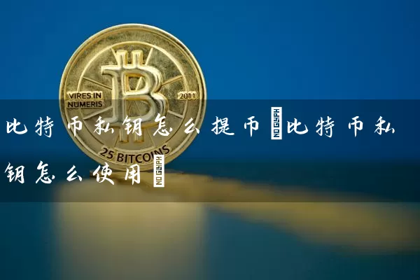 比特币私钥怎么提币(比特币私钥怎么使用)