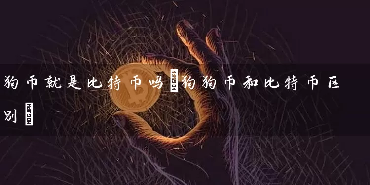 狗币就是比特币吗(狗狗币和比特币区别)