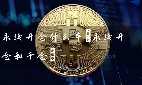 永续开仓什么车(永续开仓和平仓)