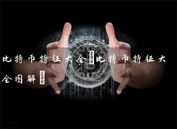 比特币特征大全(比特币特征大全图解)
