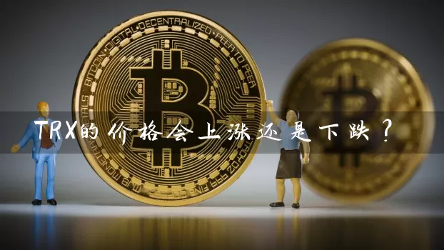 TRX的价格会上涨还是下跌？