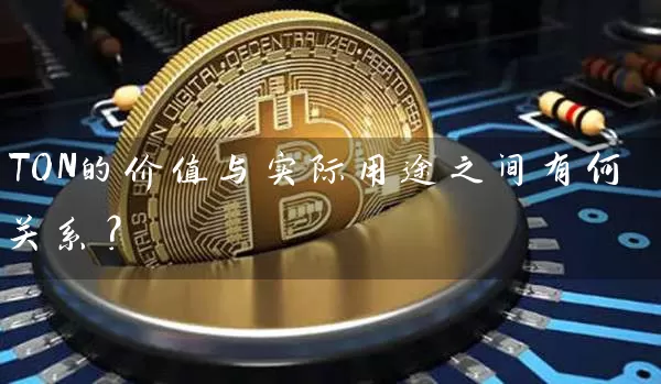 TON的价值与实际用途之间有何关系？