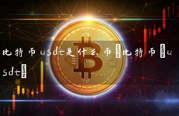 比特币usdt是什么币(比特币/usdt)