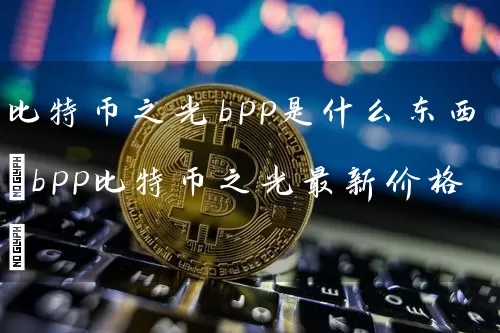 比特币之光bpp是什么东西(bpp比特币之光最新价格)