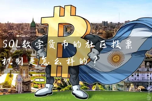 SOL数字货币的社区投票机制是怎么样的？