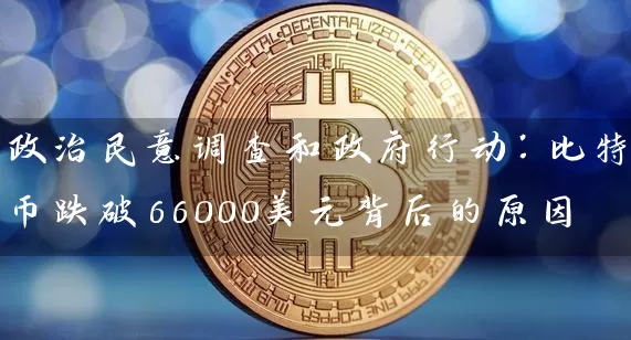 政治民意调查和政府行动：比特币跌破66000美元背后的原因