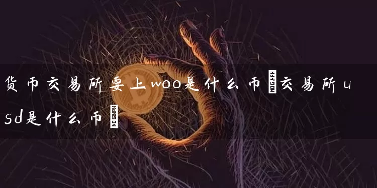 货币交易所要上woo是什么币(交易所usd是什么币)