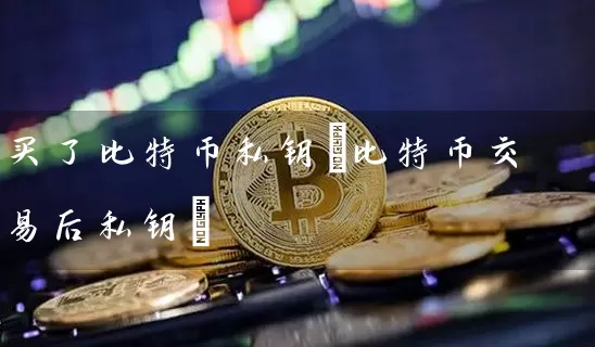 买了比特币私钥(比特币交易后私钥)