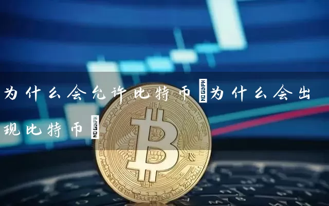 为什么会允许比特币(为什么会出现比特币)