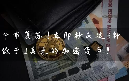牛市复苏!立即抄底这3种低于1美元的加密货币!