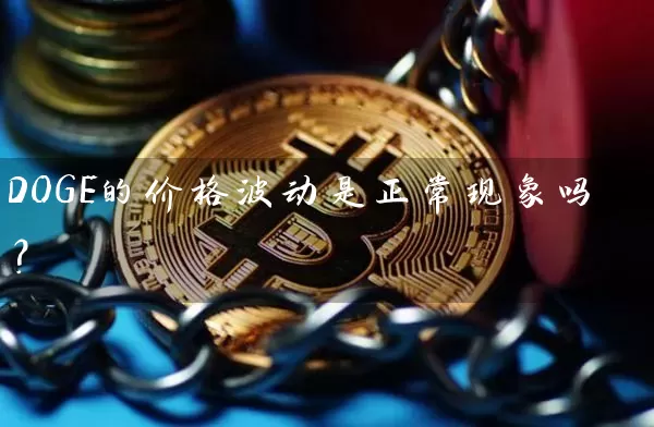 DOGE的价格波动是正常现象吗？