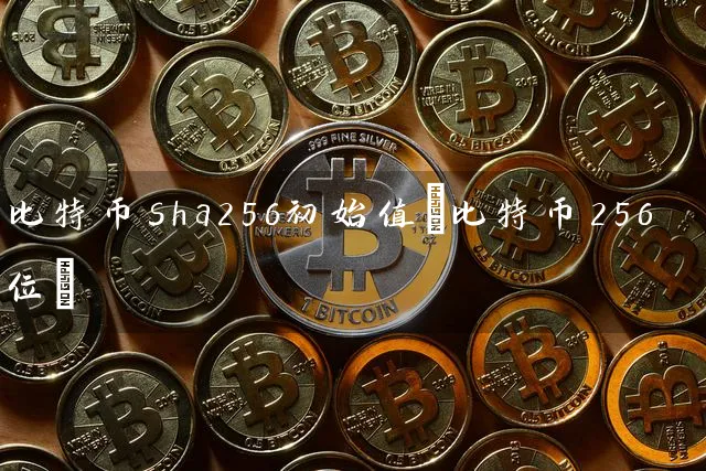 比特币s56初始值(比特币256位)