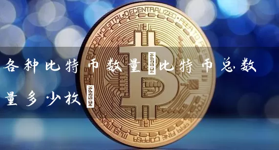 各种比特币数量(比特币总数量多少枚)