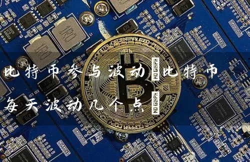 比特币参与波动(比特币每天波动几个点)