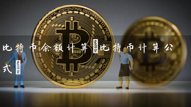 比特币余额计算(比特币计算公式)
