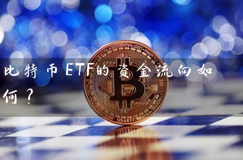 比特币ETF的资金流向如何？