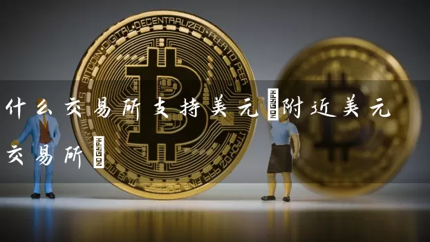 什么交易所支持美元(附近美元交易所)