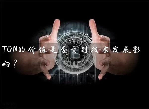 TON的价值是否受到技术发展影响？