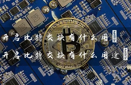 开启比特交换有什么用(开启比特交换有什么用途)