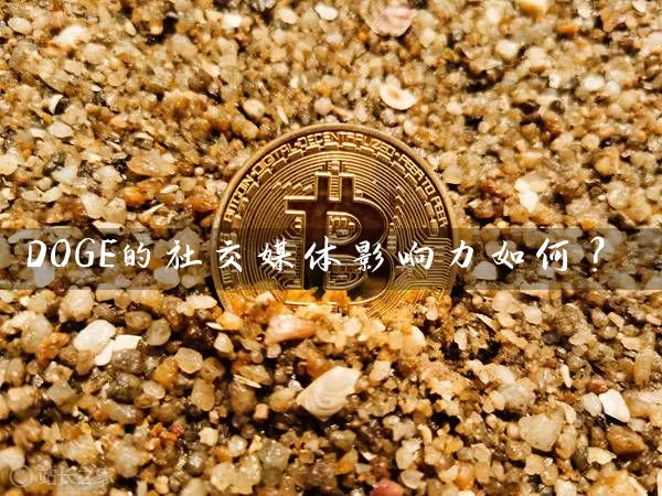 DOGE的社交媒体影响力如何？