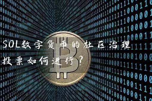 SOL数字货币的社区治理投票如何进行？