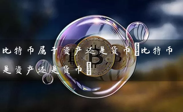 比特币属于资产还是货币(比特币是资产还是货币)