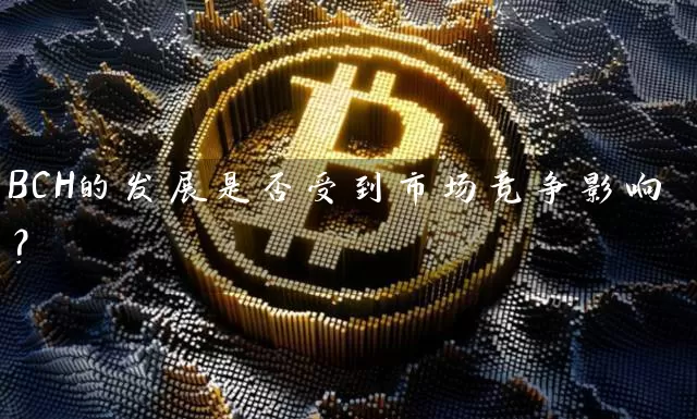 BCH的发展是否受到市场竞争影响？