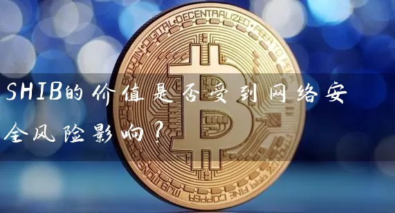 SHIB的价值是否受到网络安全风险影响？