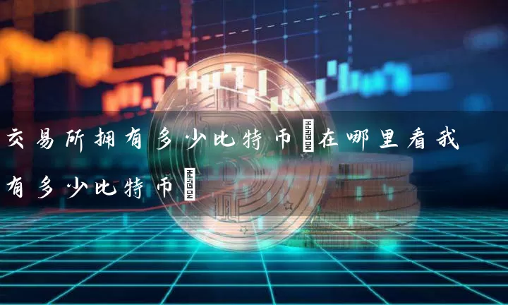 交易所拥有多少比特币(在哪里看我有多少比特币)