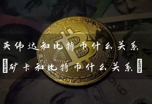 英伟达和比特币什么关系(矿卡和比特币什么关系)
