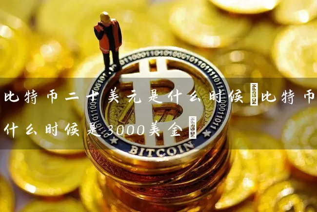 比特币二十美元是什么时候(比特币什么时候是3000美金)