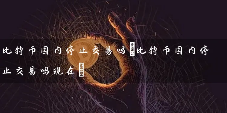 比特币国内停止交易吗(比特币国内停止交易吗现在)