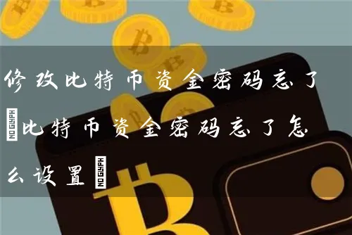 修改比特币资金忘了(比特币资金忘了怎么设置)