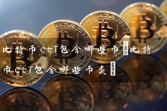 比特币etf包含哪些币(比特币etf包含哪些币类)