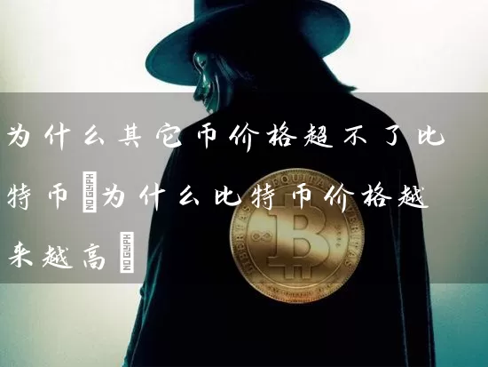 为什么其它币价格超不了比特币(为什么比特币价格越来越高)