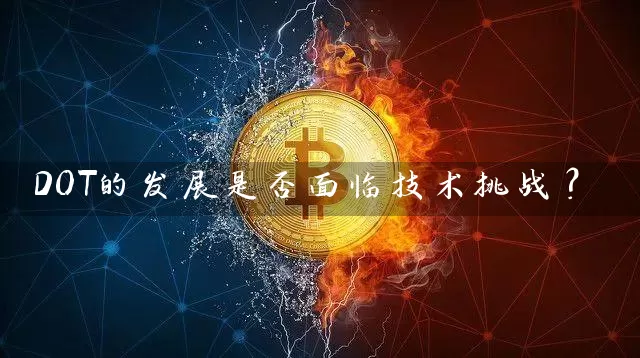DOT的发展是否面临技术挑战？