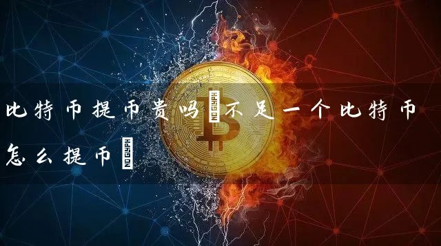 比特币提币贵吗(不足一个比特币怎么提币)