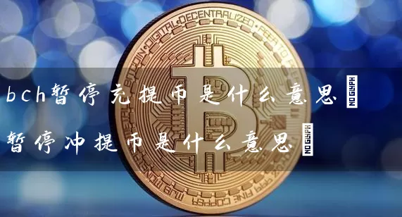 bch暂停充提币是什么意思(暂停冲提币是什么意思)