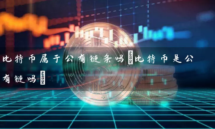 比特币属于公有链条吗(比特币是公有链吗)