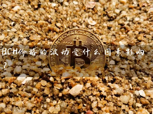 BCH价格的波动受什么因素影响？