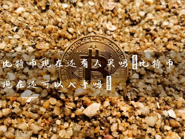 比特币现在还有人买吗(比特币现在还可以入手吗)
