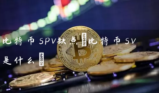 比特币spv缺点(比特币sv是什么)