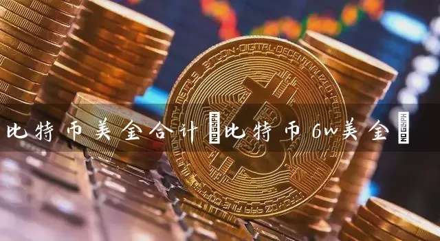 比特币美金合计(比特币6w美金)