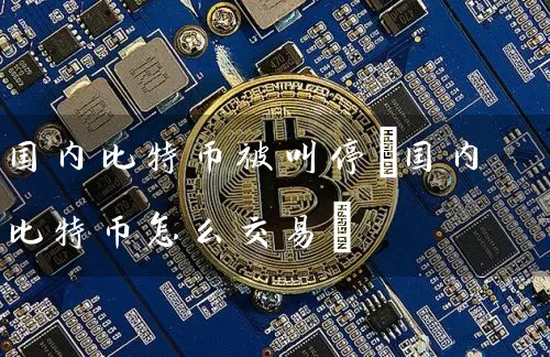 国内比特币被叫停(国内比特币怎么交易)