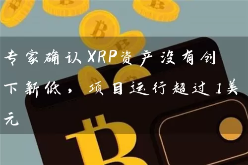 专家确认XRP资产没有创下新低，项目运行超过1美元