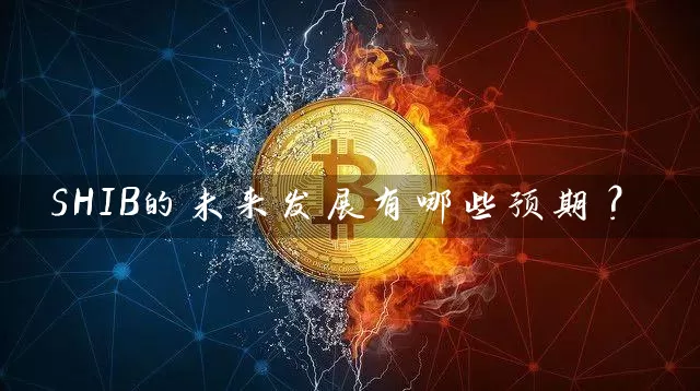 SHIB的未来发展有哪些预期？