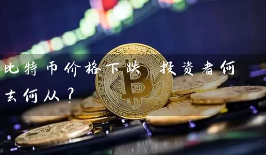比特币价格下跌 投资者何去何从？